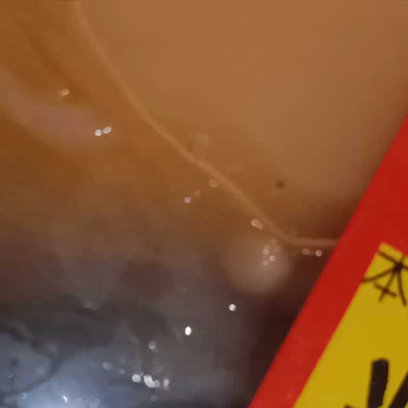 圖片4 圖片4