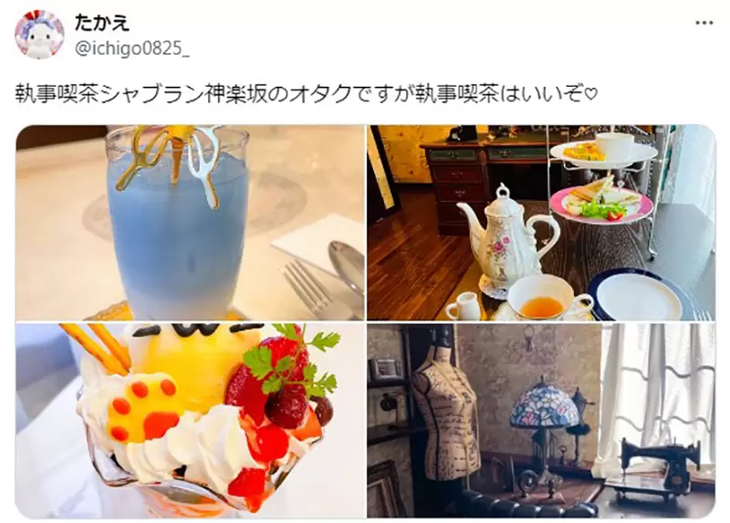 圖片11 圖片11
