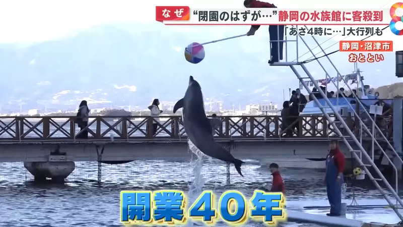 圖片4 圖片4