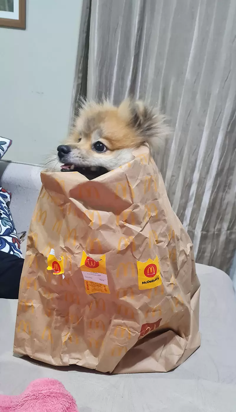 圖片18 圖片18