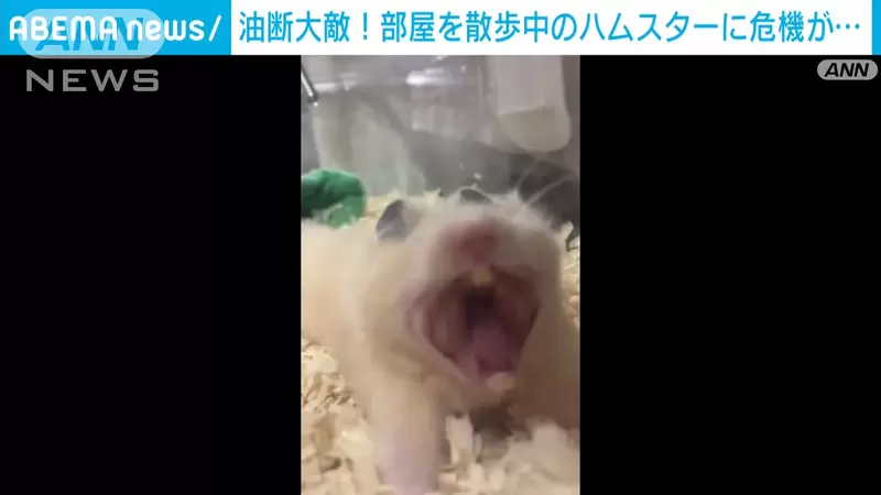 圖片6 圖片6