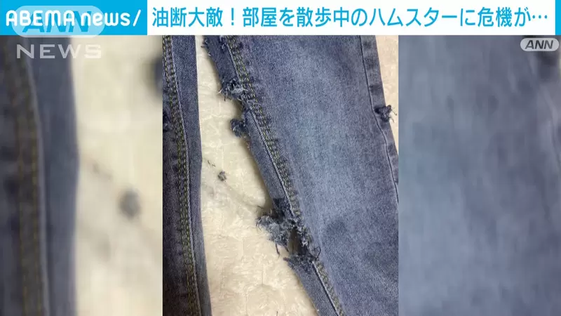 圖片8 圖片8