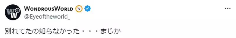 圖片11 圖片11