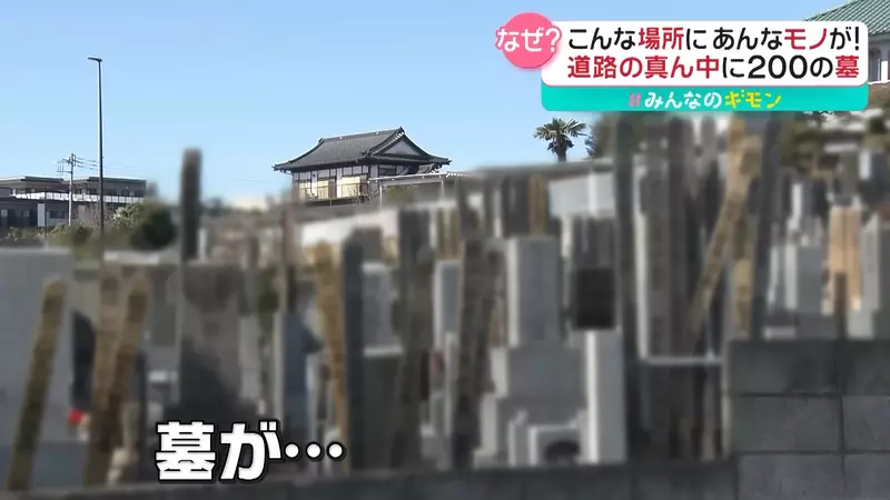 圖片5 圖片5