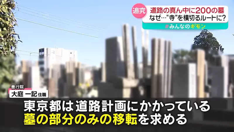 圖片17 圖片17