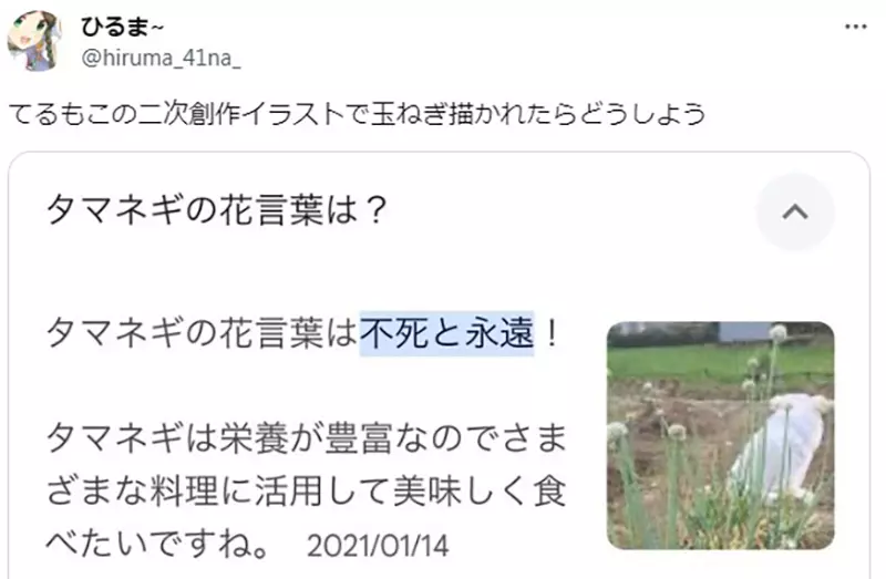 圖片14 圖片14