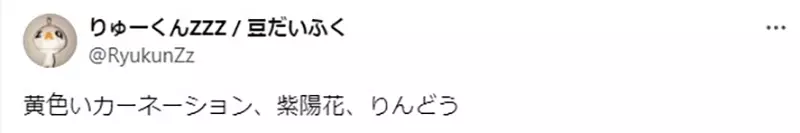 圖片13 圖片13