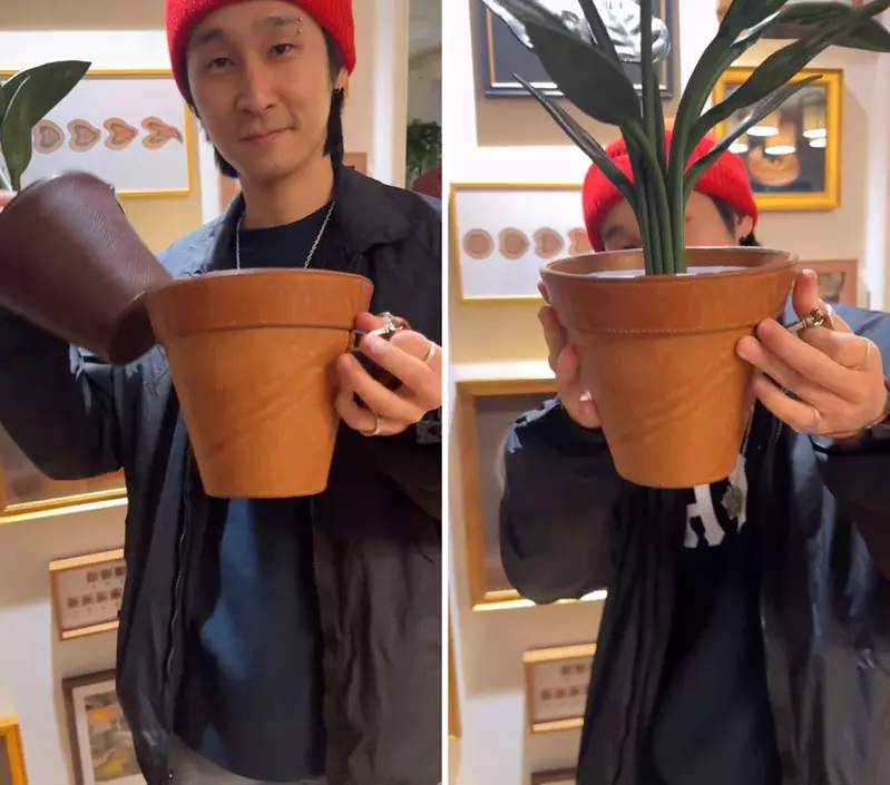 圖片5 圖片5