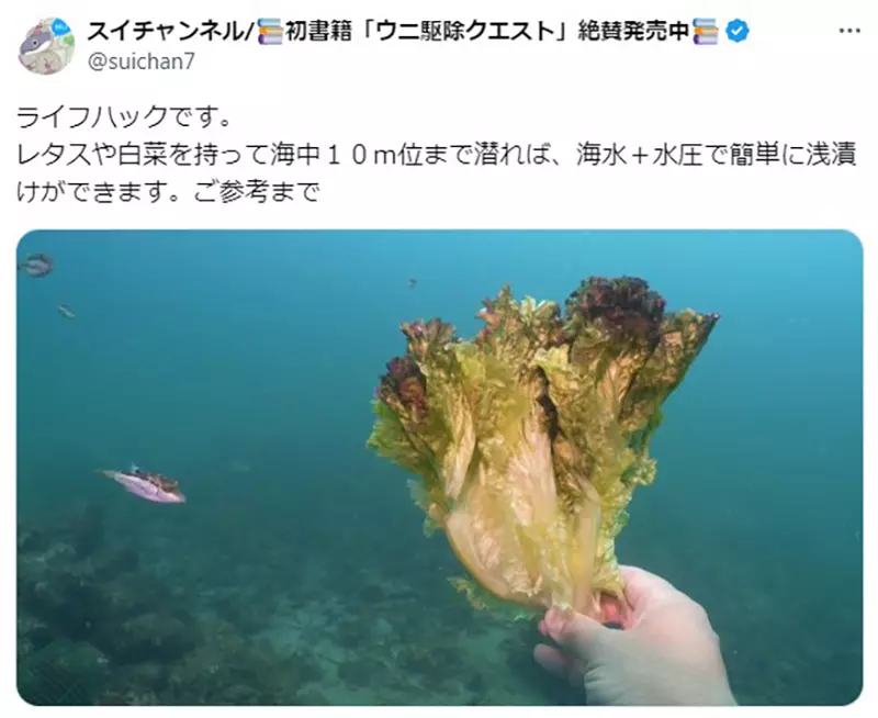 圖片6 圖片6
