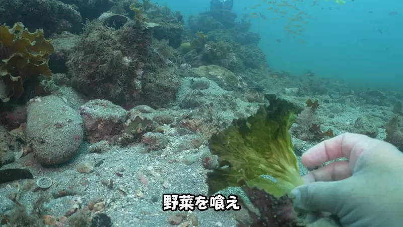 圖片4 圖片4