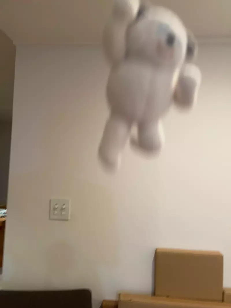 圖片5 圖片5