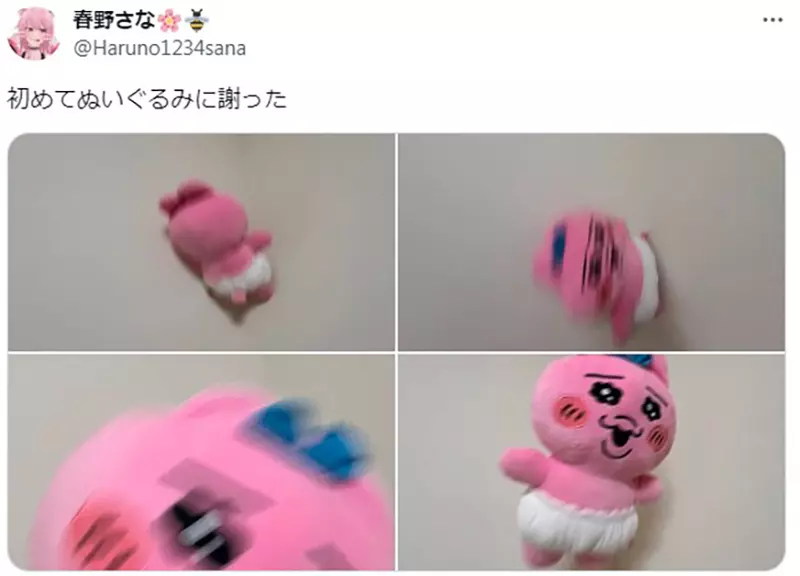 圖片11 圖片11