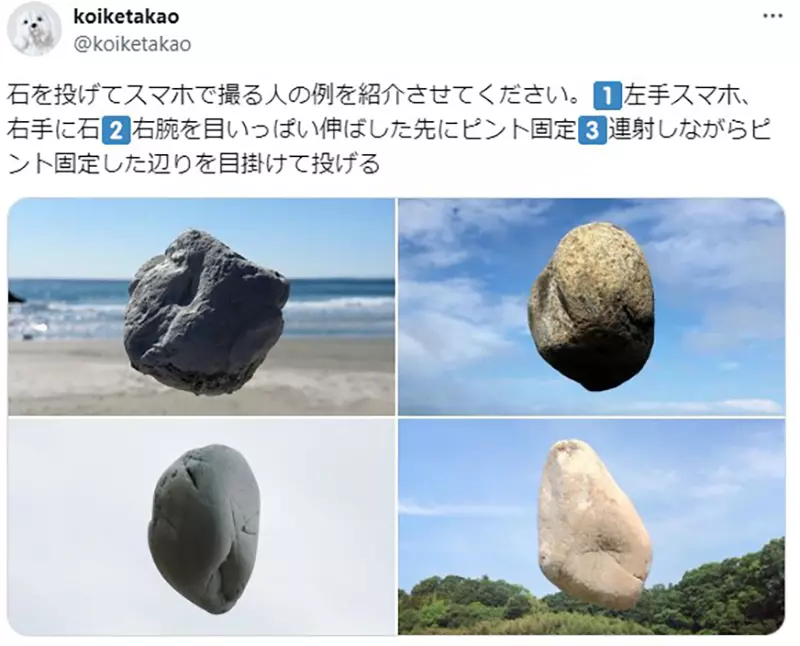 圖片15 圖片15
