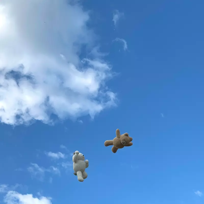 圖片19 圖片19