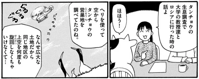 圖片10 圖片10