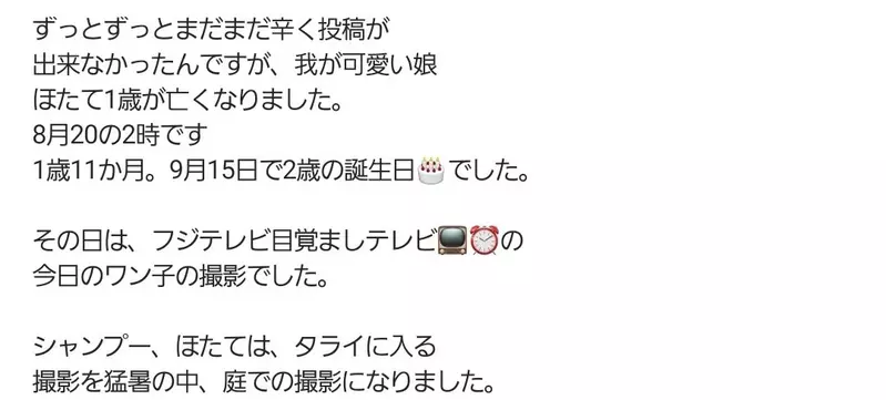 圖片6 圖片6