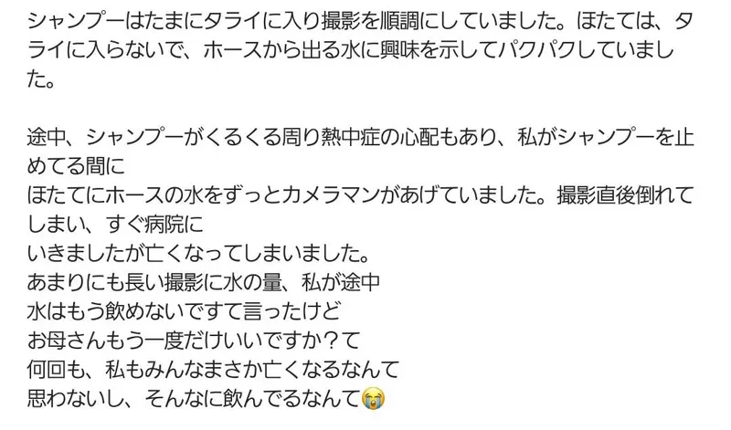 圖片7 圖片7