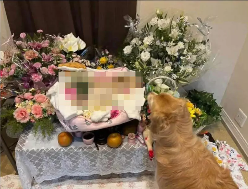 圖片12 圖片12