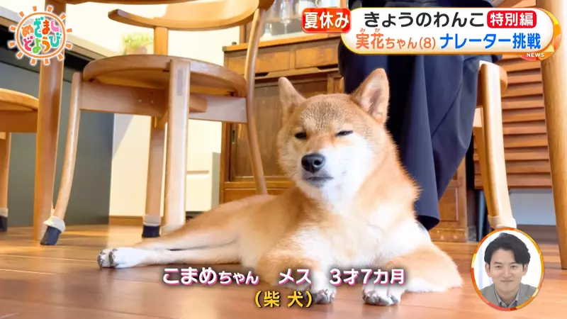圖片4 圖片4