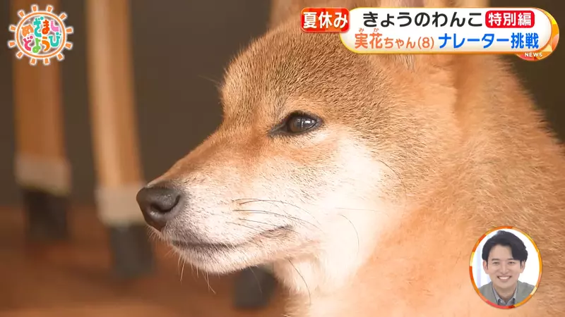 圖片5 圖片5