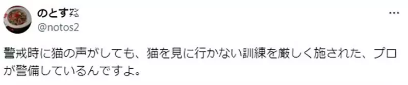 圖片14 圖片14