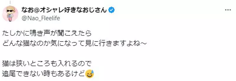 圖片13 圖片13