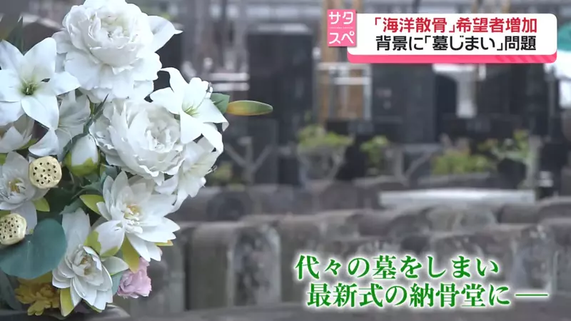 圖片8 圖片8