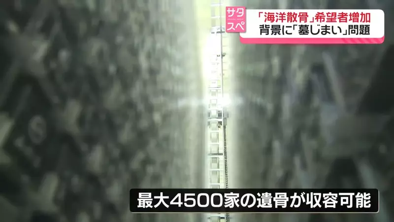 圖片9 圖片9