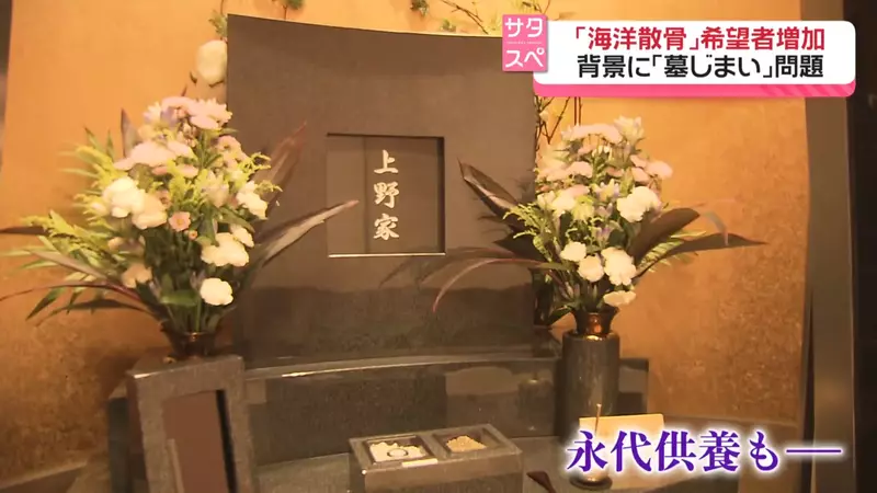 圖片11 圖片11