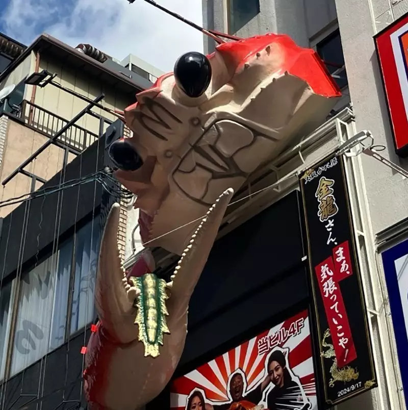 圖片18 圖片18