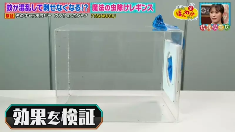 圖片10 圖片10