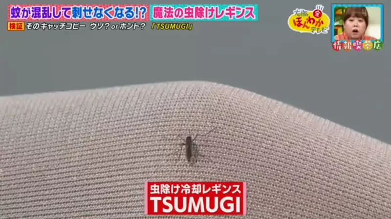 圖片16 圖片16