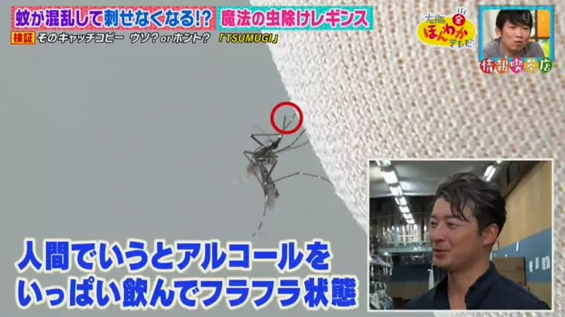 圖片17 圖片17