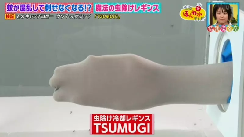 圖片15 圖片15
