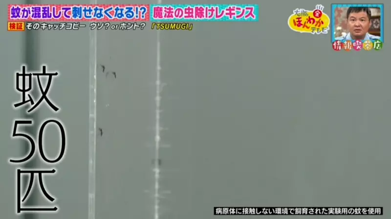 圖片11 圖片11