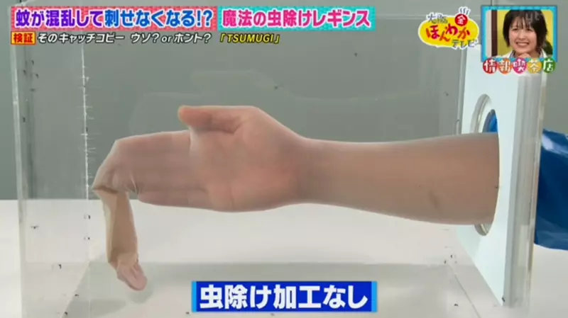 圖片12 圖片12