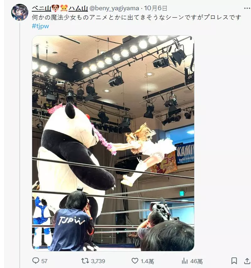 圖片5 圖片5