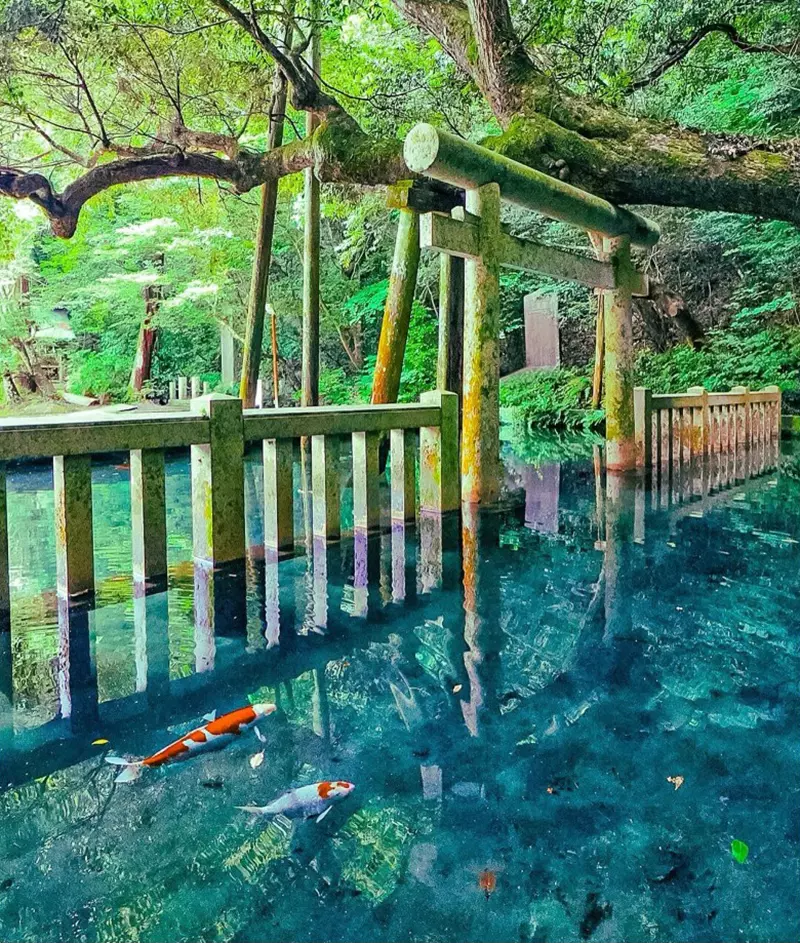圖片4 圖片4