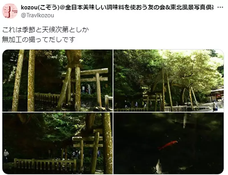圖片14 圖片14