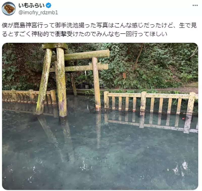 圖片8 圖片8