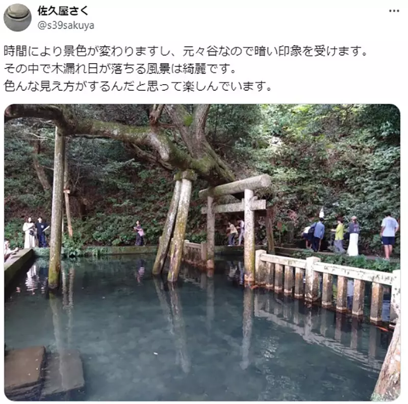 圖片10 圖片10