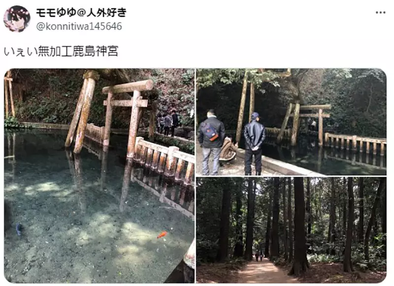 圖片11 圖片11