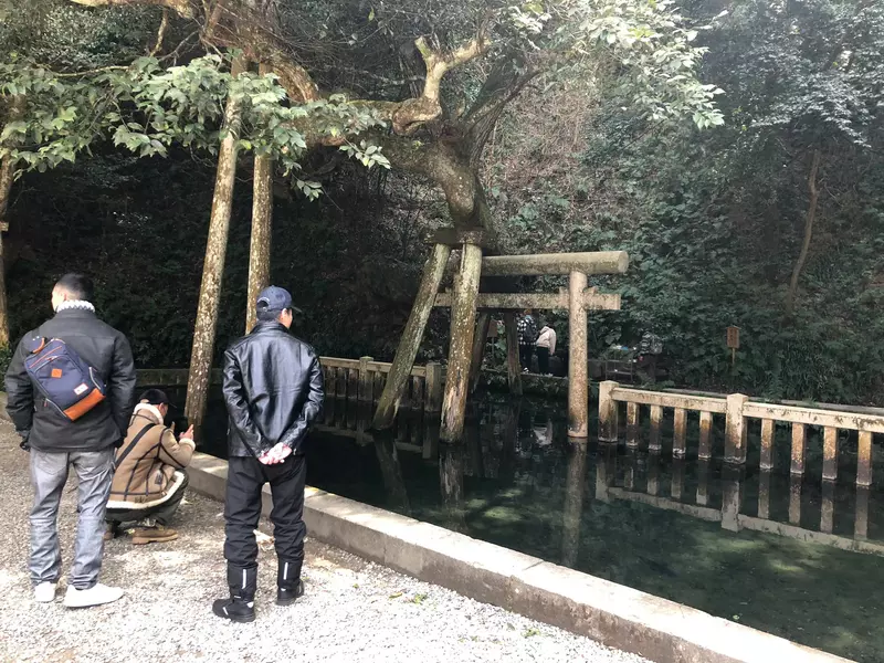 圖片13 圖片13