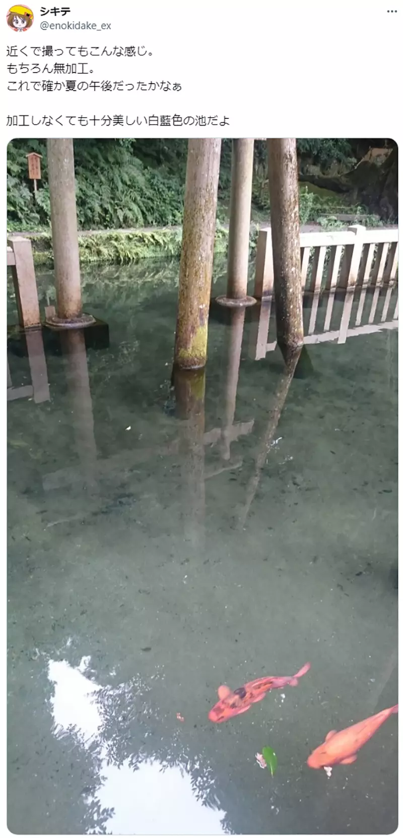 圖片9 圖片9