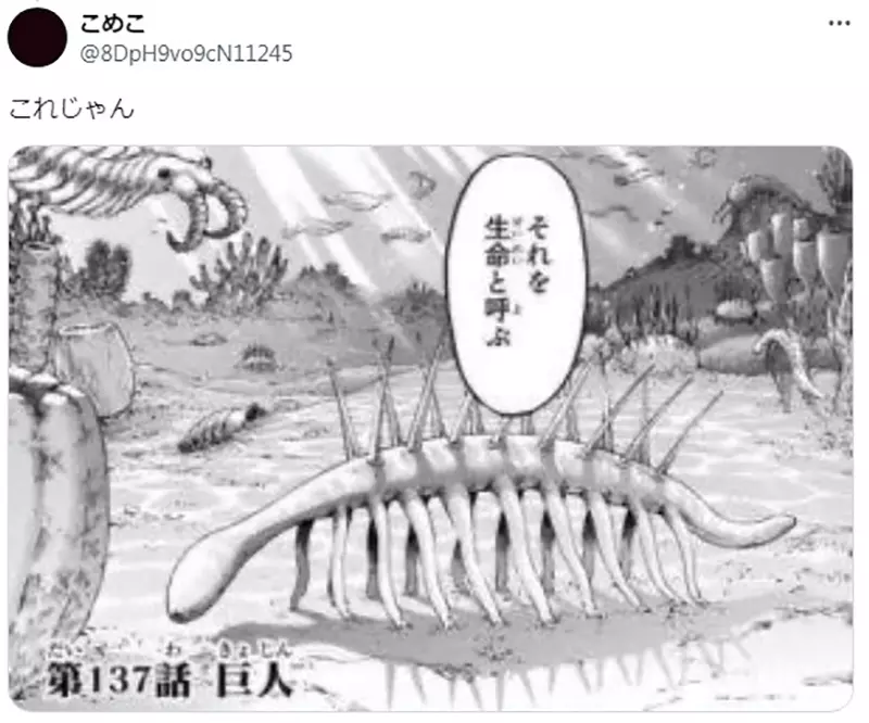 图片13
