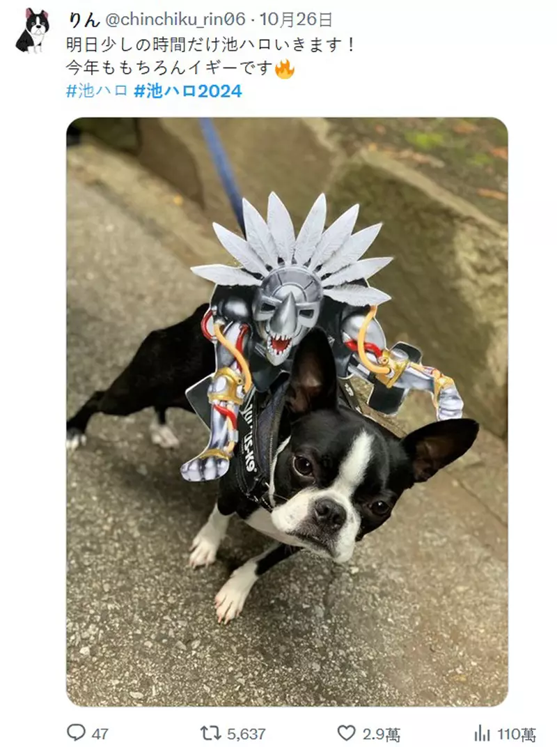圖片36 圖片36