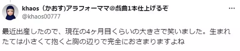 圖片11 圖片11