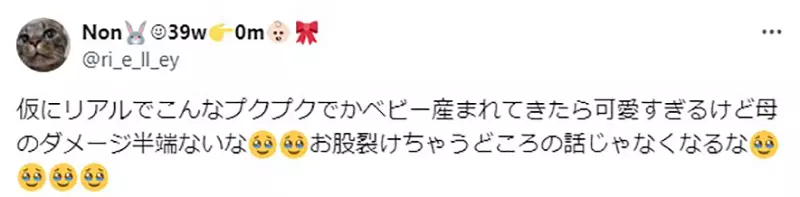 圖片14 圖片14