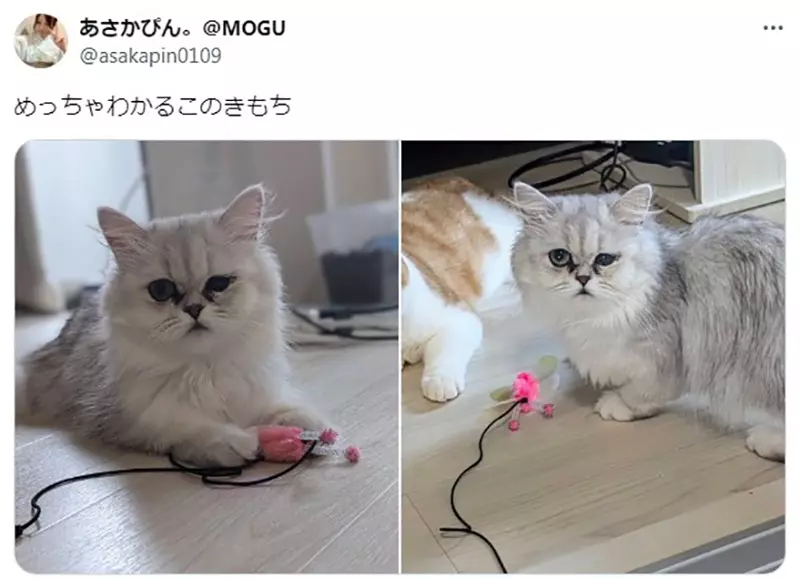 圖片9 圖片9