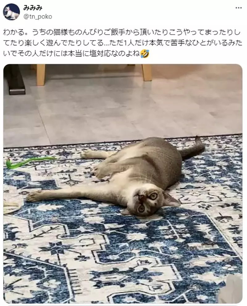 圖片10 圖片10